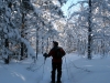 Snowshoing in Hiawatha National Forest
